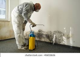 Reliable Victory Lakes, NJ Mold Prevention & Removal  Solutions